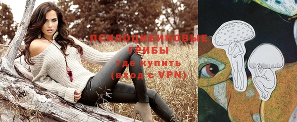 шишки Алзамай