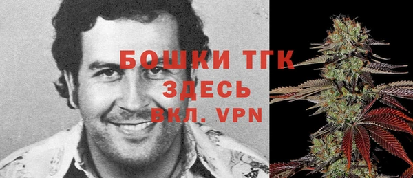 дживик Алексин