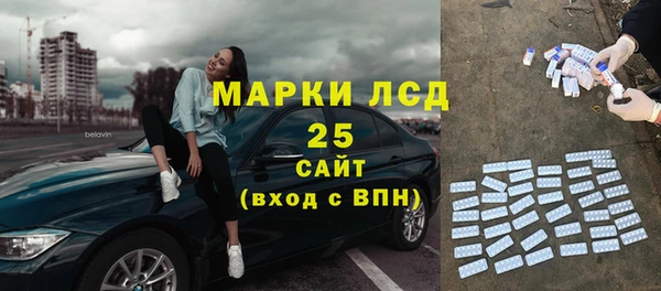 шишки Алзамай