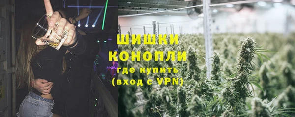шишки Алзамай