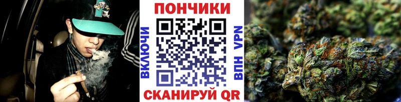 MEGA сайт  наркота  Приморск  Бошки Шишки марихуана 